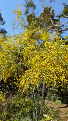 勝林寺(京都府)