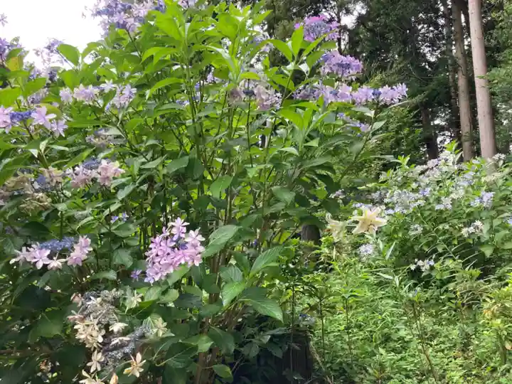 加波山三枝祇神社本宮(茨城県)