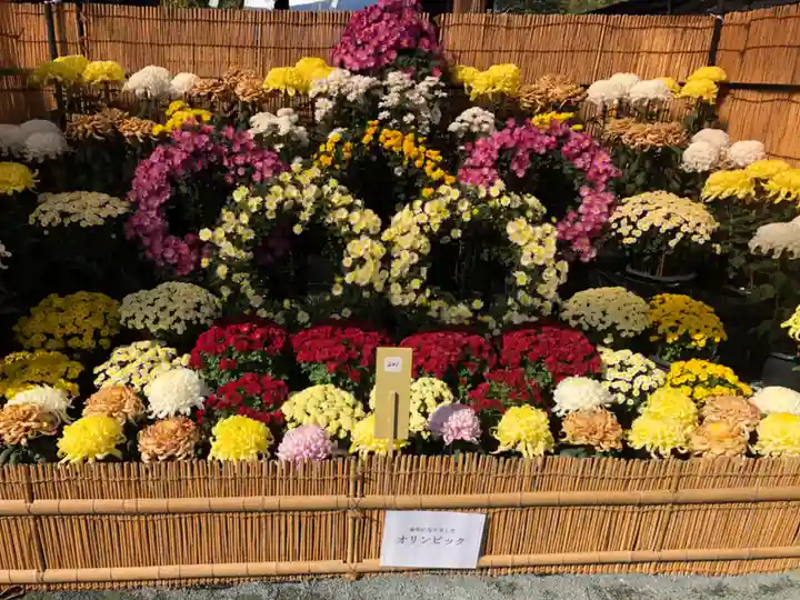 宗像大社の自然