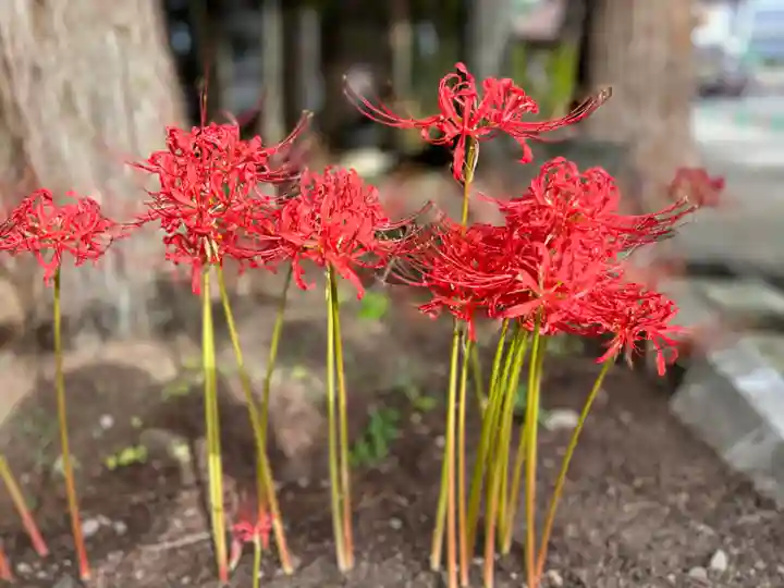 弘安寺(福島県)
