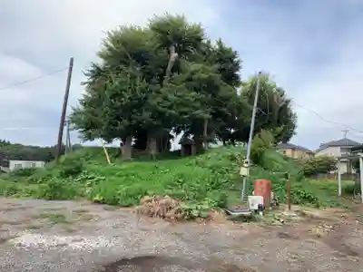 愛宕神社の周辺