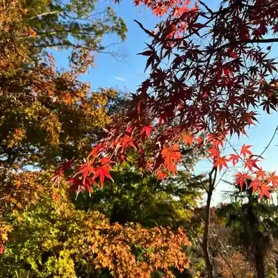 八幡宮(茨城県)