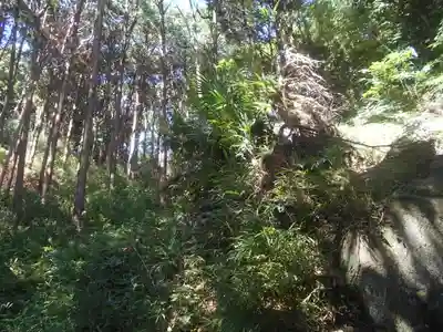 梶原御霊神社の自然