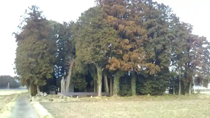 常磐神社のその他建物
