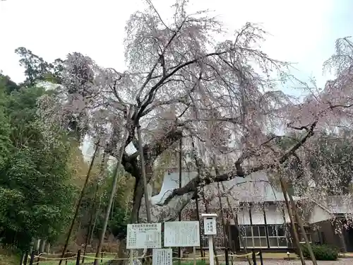 福星寺(千葉県)