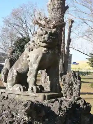 日枝神社の狛犬