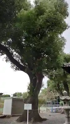 稲荷神社の自然