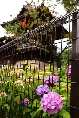 白山神社(東京都)