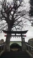 下総国三山　二宮神社の鳥居