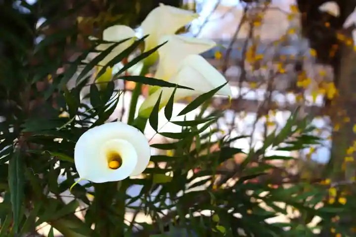 三津厳島神社(愛媛県)