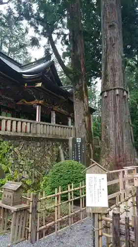 三峯神社の自然