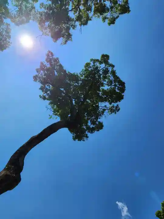 福良天満宮の自然