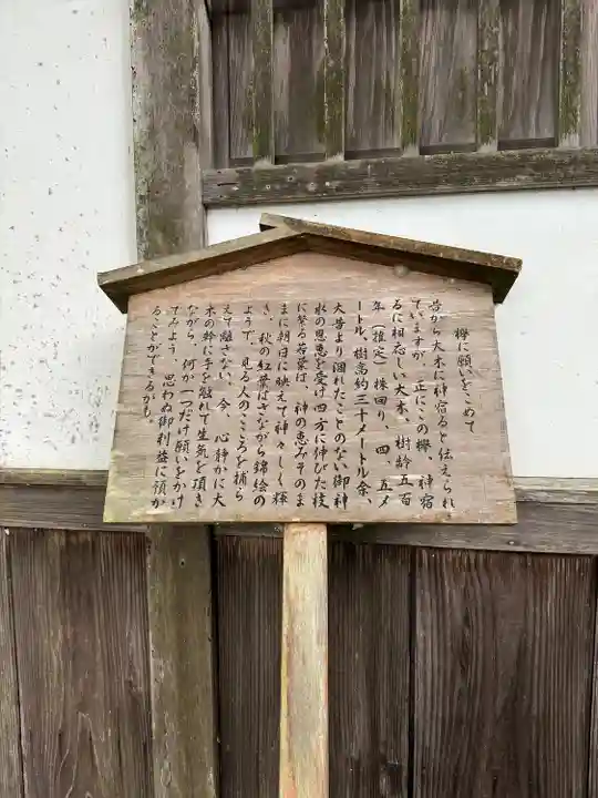丹生川上神社(下社)(奈良県)