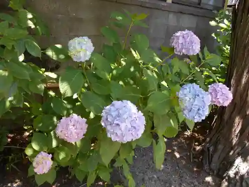 三島八幡神社(福島県)