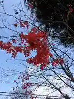上川神社頓宮の自然