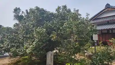 総見院(京都府)