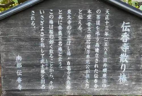 伝香寺(奈良県)