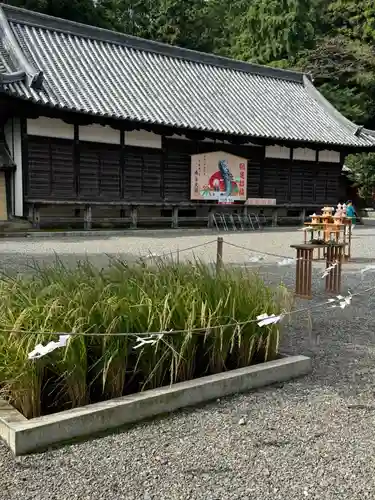 美濃國一宮　南宮大社(岐阜県)