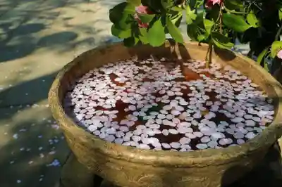 龍峰寺のその他建物