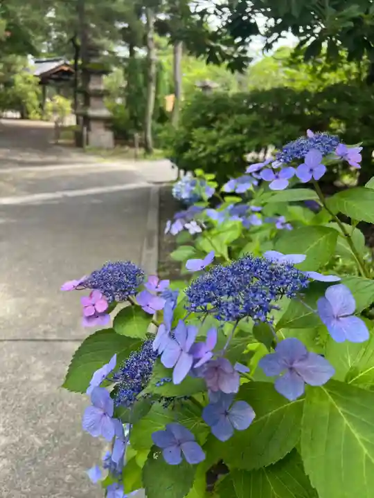 善光寺(長野県)