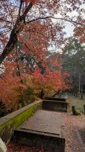 若山神社(大阪府)