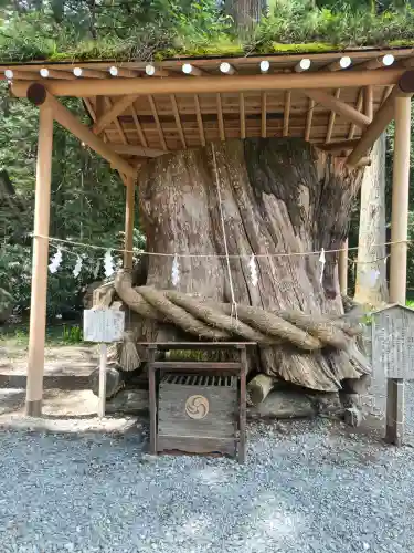 小國神社の{uncategorized: "未分類", other: "その他", undefined: "問題あり", building: "その他建物", grave: "お墓", sacred_gate: "鳥居", guardian: "狛犬", statue: "像", buddha: "仏像", history: "歴史", nature: "自然", garden: "庭園", animal: "動物", pagoda: "塔", temizu: "手水舎", mountain_gate: "山門・神門", sanctuary: "本殿・本堂", subordinate: "末社・摂社", art: "芸術", scenery: "景色", jizo: "地蔵", ema: "絵馬", goshuin: "御朱印", omikuji: "おみくじ", items: "授与品その他", amulet: "お守り", goshuincho: "御朱印帳", eats: "食事", festival: "お祭り", votive_dance: "神楽", shichigosan: "七五三参", wedding: "結婚式", experience: "体験その他", initially: "初詣", around: "周辺", anti_infection: "感染症対策"}