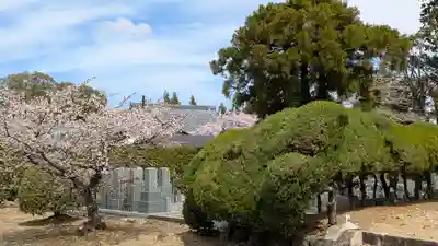 西迎寺(京都府)