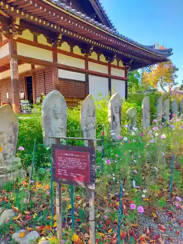 般若寺 ❁﻿コスモス寺❁(奈良県)