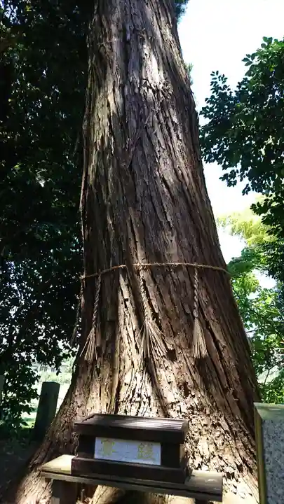 南宮神社の自然