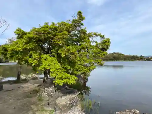 観音島(京都府)