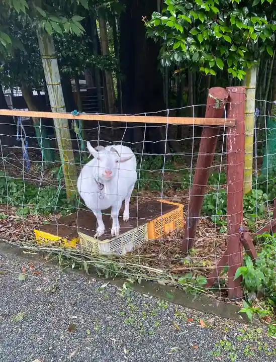 出雲大社相模分祠(神奈川県)