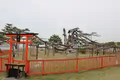 唐崎神社(滋賀県)