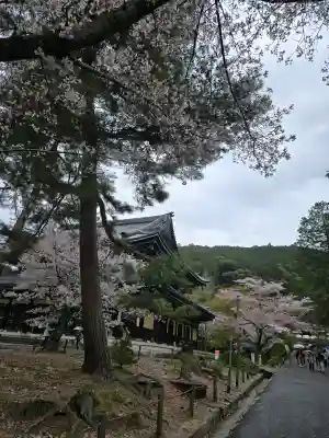 南禅寺(京都府)