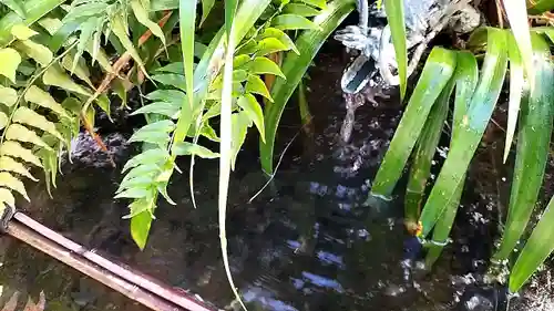 武田神社(山梨県)