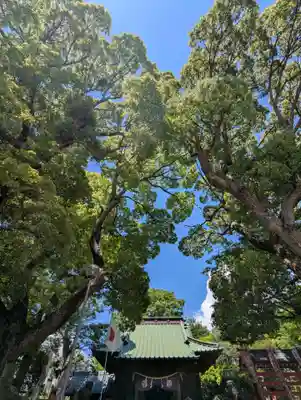 久里浜八幡神社(神奈川県)
