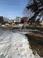 白人神社の{uncategorized: "未分類", other: "その他", undefined: "問題あり", building: "その他建物", grave: "お墓", sacred_gate: "鳥居", guardian: "狛犬", statue: "像", buddha: "仏像", history: "歴史", nature: "自然", garden: "庭園", animal: "動物", pagoda: "塔", temizu: "手水舎", mountain_gate: "山門・神門", sanctuary: "本殿・本堂", subordinate: "末社・摂社", art: "芸術", scenery: "景色", jizo: "地蔵", ema: "絵馬", goshuin: "御朱印", omikuji: "おみくじ", items: "授与品その他", amulet: "お守り", goshuincho: "御朱印帳", eats: "食事", festival: "お祭り", votive_dance: "神楽", shichigosan: "七五三参", wedding: "結婚式", experience: "体験その他", initially: "初詣", around: "周辺", anti_infection: "感染症対策"}