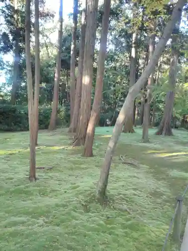 唐招提寺の自然