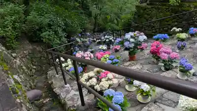 長谷寺(奈良県)