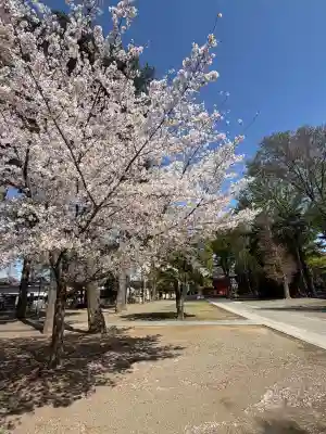 小野神社の{uncategorized: "未分類", other: "その他", undefined: "問題あり", building: "その他建物", grave: "お墓", sacred_gate: "鳥居", guardian: "狛犬", statue: "像", buddha: "仏像", history: "歴史", nature: "自然", garden: "庭園", animal: "動物", pagoda: "塔", temizu: "手水舎", mountain_gate: "山門・神門", sanctuary: "本殿・本堂", subordinate: "末社・摂社", art: "芸術", scenery: "景色", jizo: "地蔵", ema: "絵馬", goshuin: "御朱印", omikuji: "おみくじ", items: "授与品その他", amulet: "お守り", goshuincho: "御朱印帳", eats: "食事", festival: "お祭り", votive_dance: "神楽", shichigosan: "七五三参", wedding: "結婚式", experience: "体験その他", initially: "初詣", around: "周辺", anti_infection: "感染症対策"}