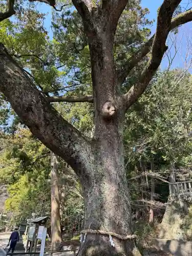 事任八幡宮(静岡県)