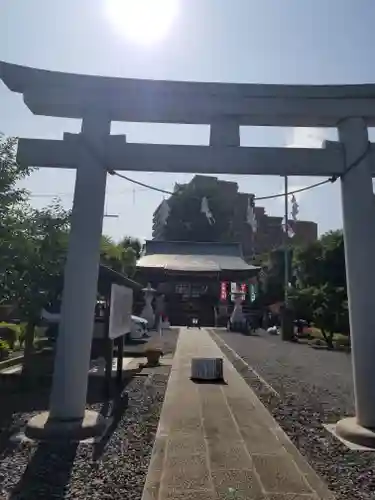 朝日氷川神社の鳥居