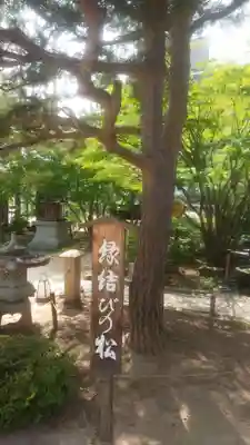 四柱神社(長野県)