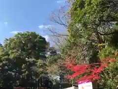 検見川神社の景色