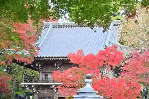 高尾山薬王院(東京都)
