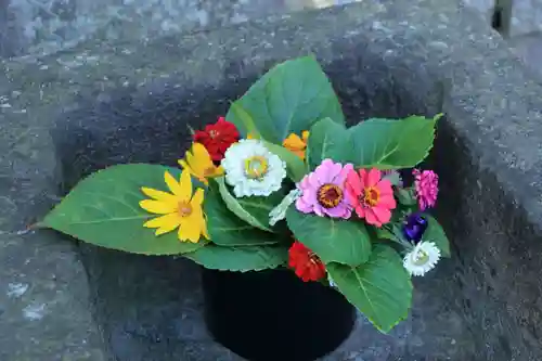 熊野福藏神社の手水