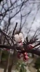 相馬神社(北海道)