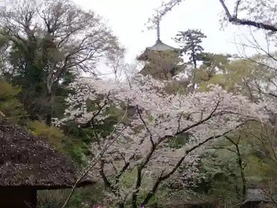根岸八幡神社(神奈川県)