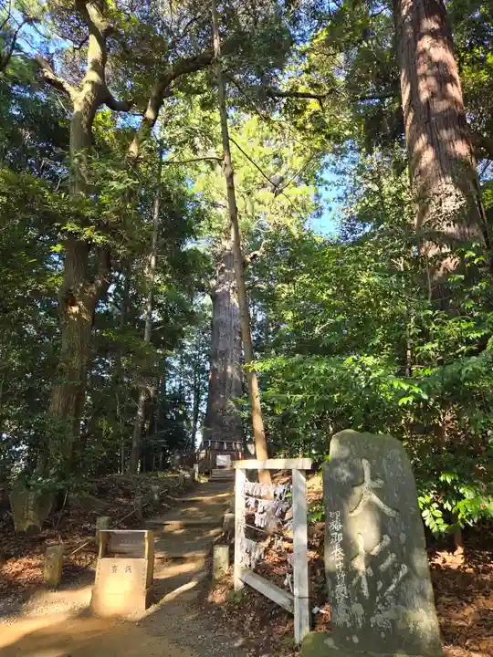 麻賀多神社(千葉県)
