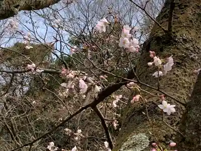 金崎宮(福井県)