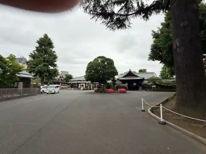 寛永寺(根本中堂)の{uncategorized: "未分類", other: "その他", undefined: "問題あり", building: "その他建物", grave: "お墓", sacred_gate: "鳥居", guardian: "狛犬", statue: "像", buddha: "仏像", history: "歴史", nature: "自然", garden: "庭園", animal: "動物", pagoda: "塔", temizu: "手水舎", mountain_gate: "山門・神門", sanctuary: "本殿・本堂", subordinate: "末社・摂社", art: "芸術", scenery: "景色", jizo: "地蔵", ema: "絵馬", goshuin: "御朱印", omikuji: "おみくじ", items: "授与品その他", amulet: "お守り", goshuincho: "御朱印帳", eats: "食事", festival: "お祭り", votive_dance: "神楽", shichigosan: "七五三参", wedding: "結婚式", experience: "体験その他", initially: "初詣", around: "周辺", anti_infection: "感染症対策"}